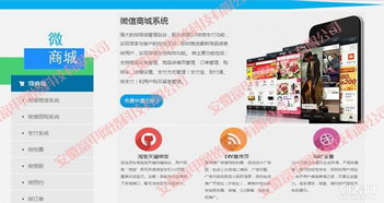 合肥专业网站建设与数字化解决方案 打造企业线上核心竞争力