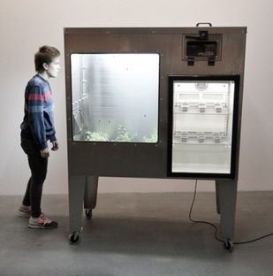 慎入 冰岛男子昆虫餐 居家饮食的另类食物与软件开发视角