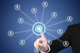 网站建设与软件开发的商业价值