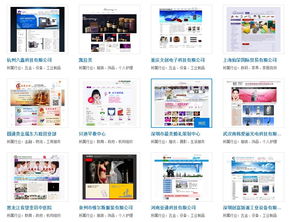 网站建设与软件开发 融合创新，驱动数字化转型——基于实际案例的深度剖析